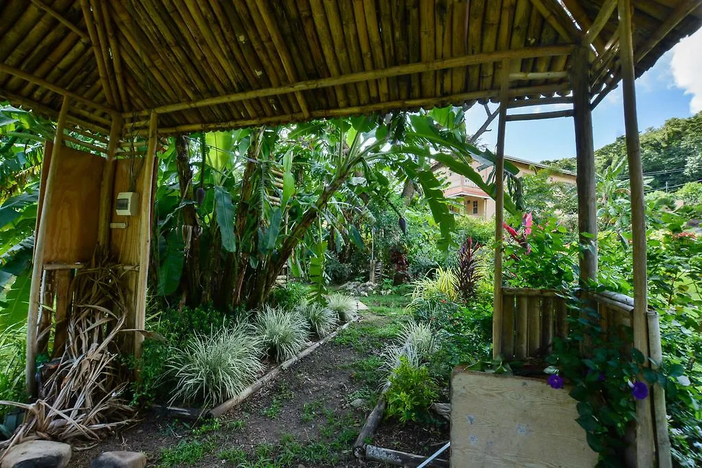 فيلة Clarencevillevilla