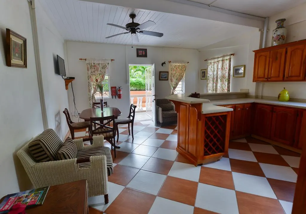 Clarencevillevilla St. David's 别墅