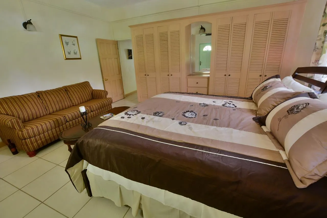 Clarencevillevilla St. David's